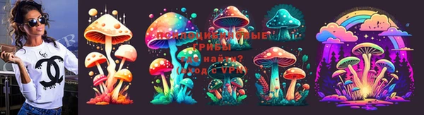 спиды Пересвет
