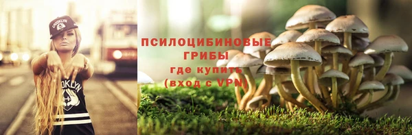 спиды Пересвет