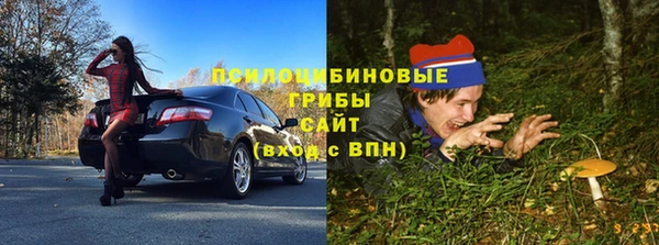 спиды Пересвет