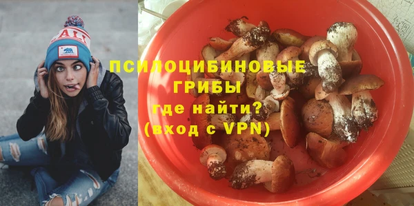 спиды Пересвет