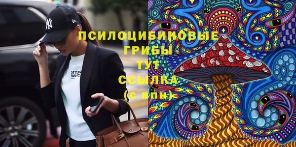спиды Пересвет