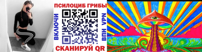 Псилоцибиновые грибы Psilocybe  где можно купить   Алейск 