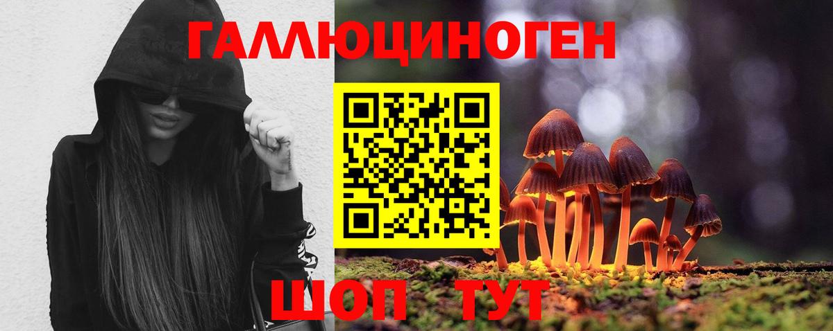 Алейск  купить   Вход с VPN  Псилоцибиновые грибы прущие грибы  Галлюциногенные грибы Psilocybe 